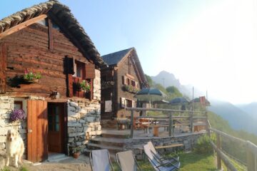 1004-zum-gora-2