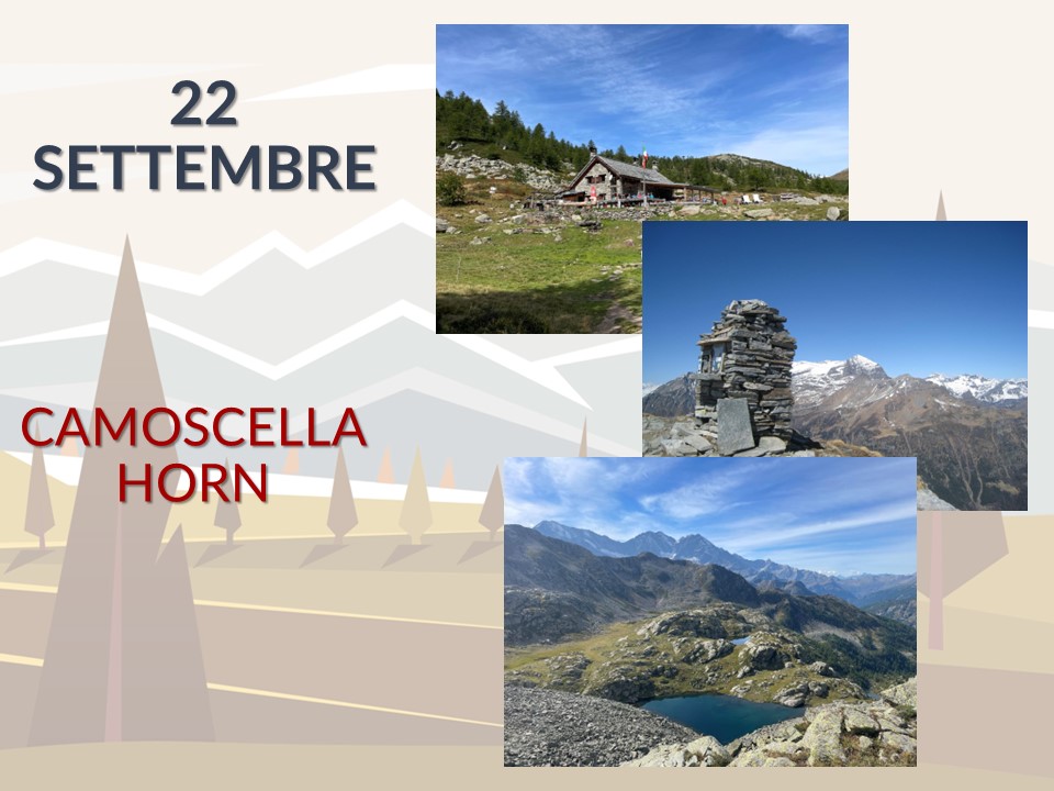 Camoscellahorn