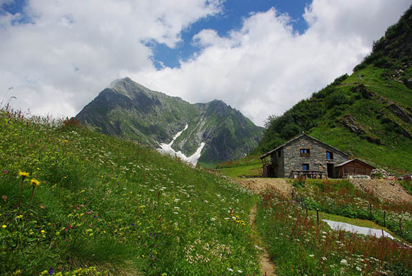 Alpe Sattal